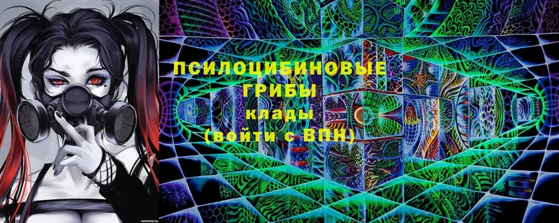 Галлюциногенные грибы Magic Shrooms  Вилючинск 